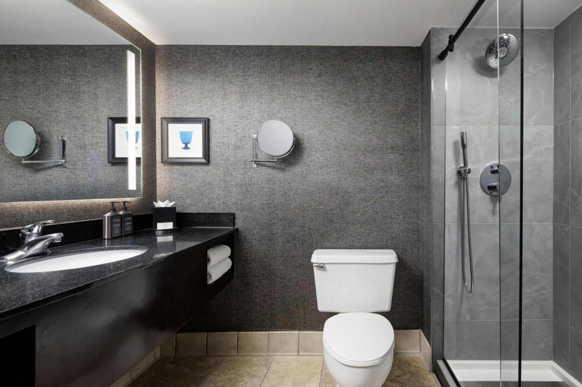 Sheraton Dfw Airport Hotel Irving Extérieur photo